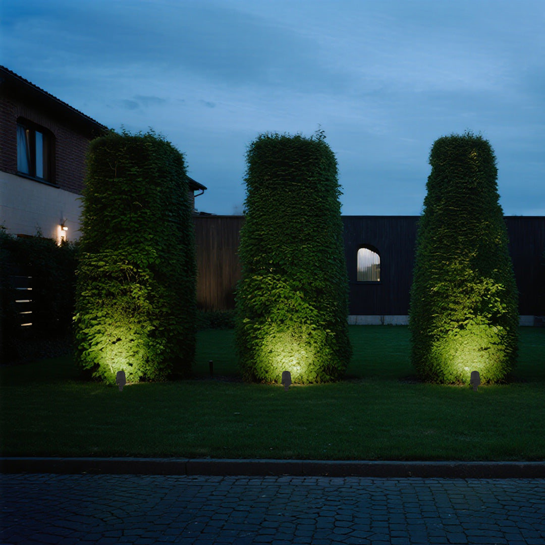 Professional LED spotlights outdoor creating accent lighting for manicured hedge landscape design