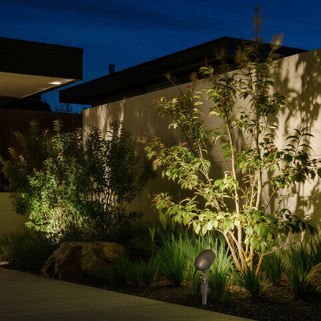 Professional outdoor lighting showcasing garden plantings with dramatic uplighting effects