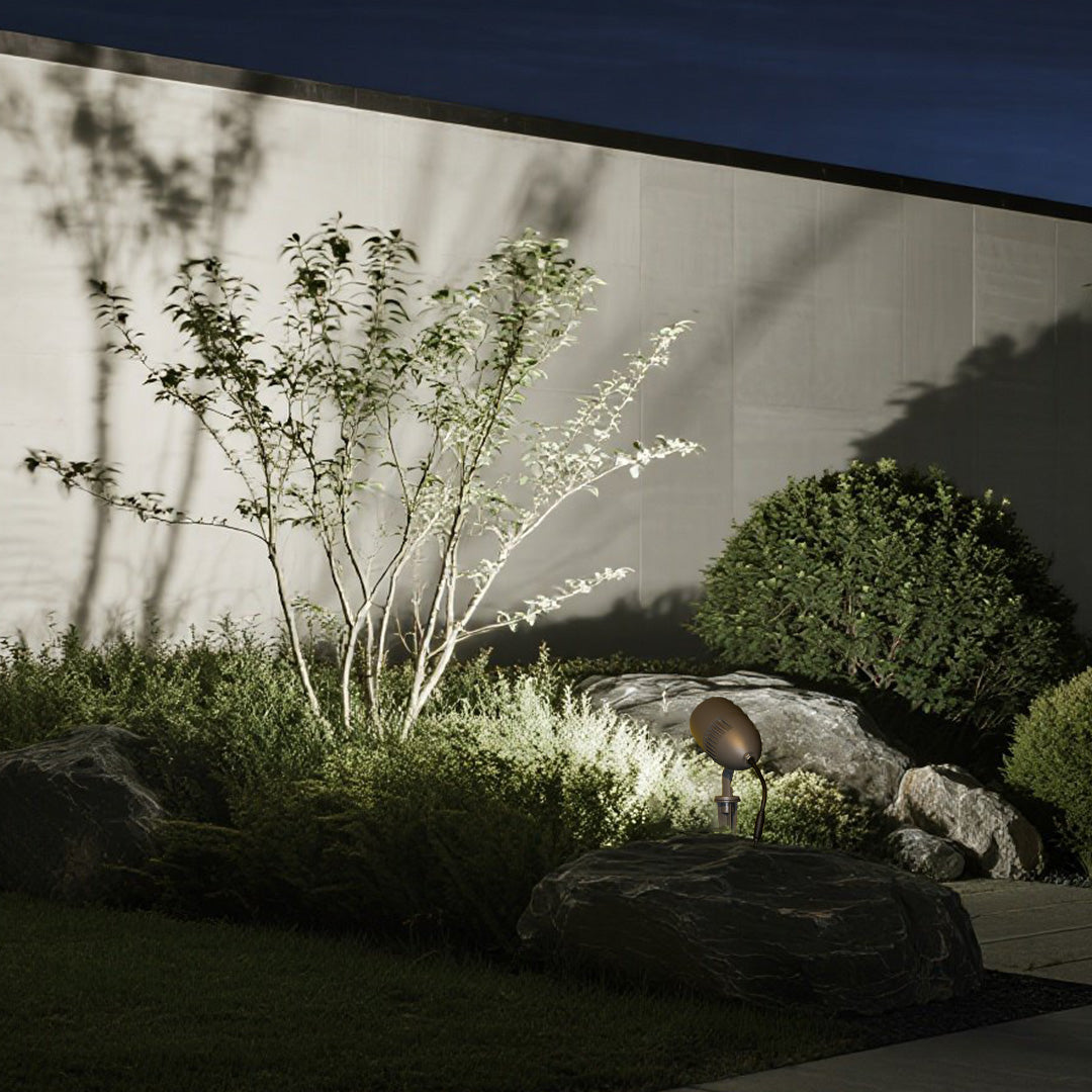 Professional outdoor lighting showcasing garden plantings with dramatic uplighting effects