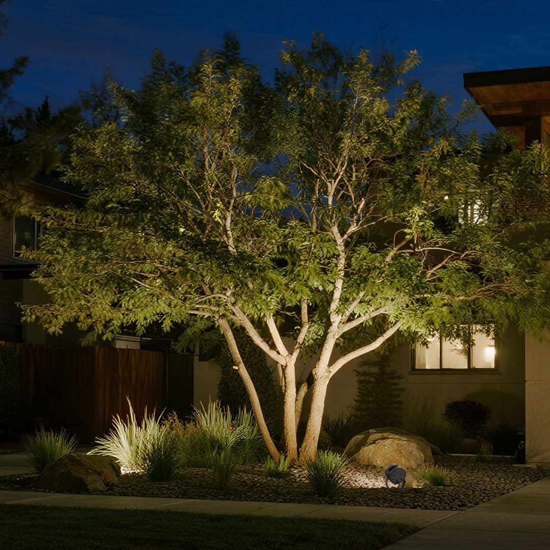 Professional outdoor LED garden spotlights providing dramatic tree illumination in residential landscape