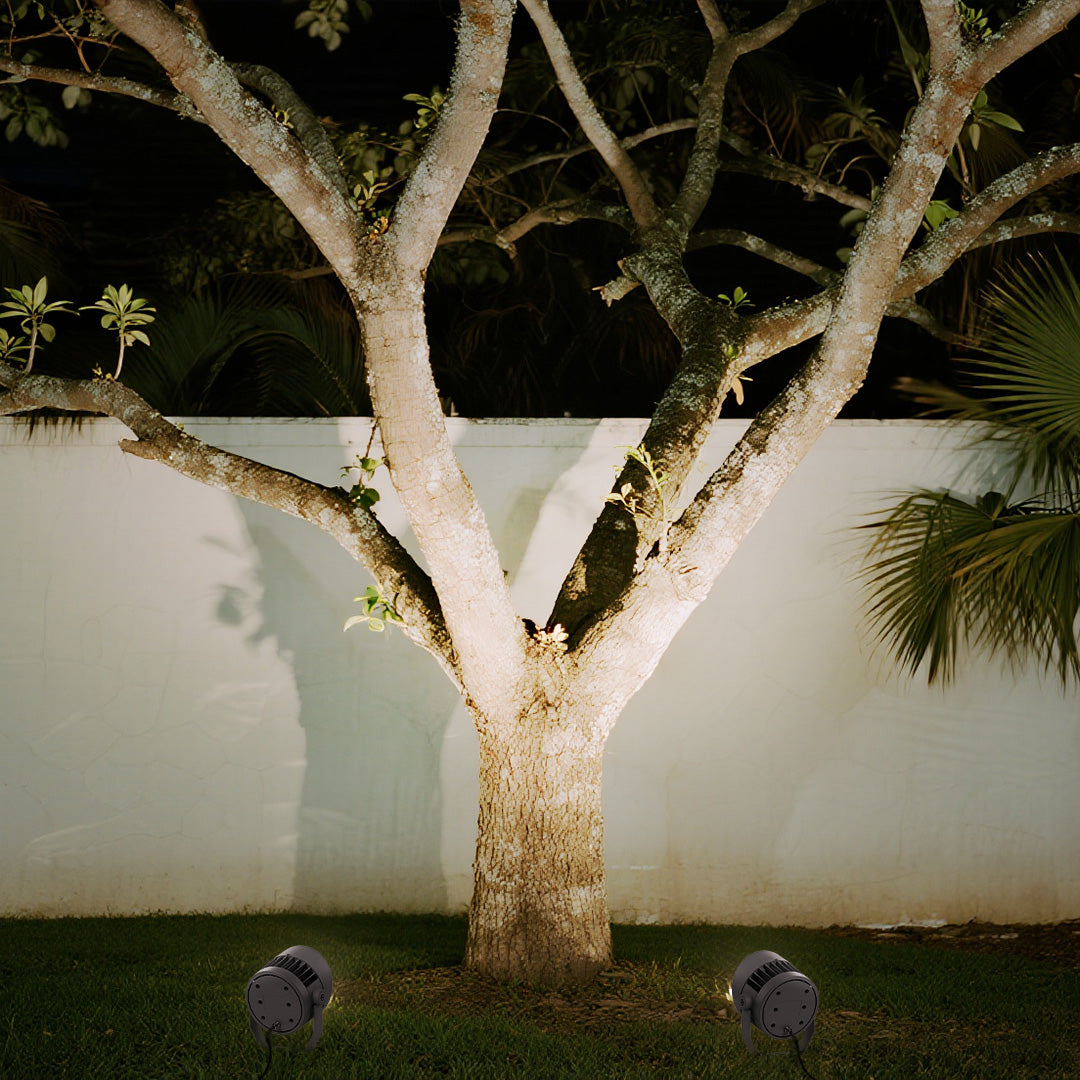 Professional outdoor LED garden spotlights providing dramatic tree illumination in residential landscape