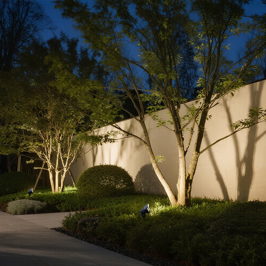 Professional uplighting showcasing trees and architectural elements in contemporary residential landscape design