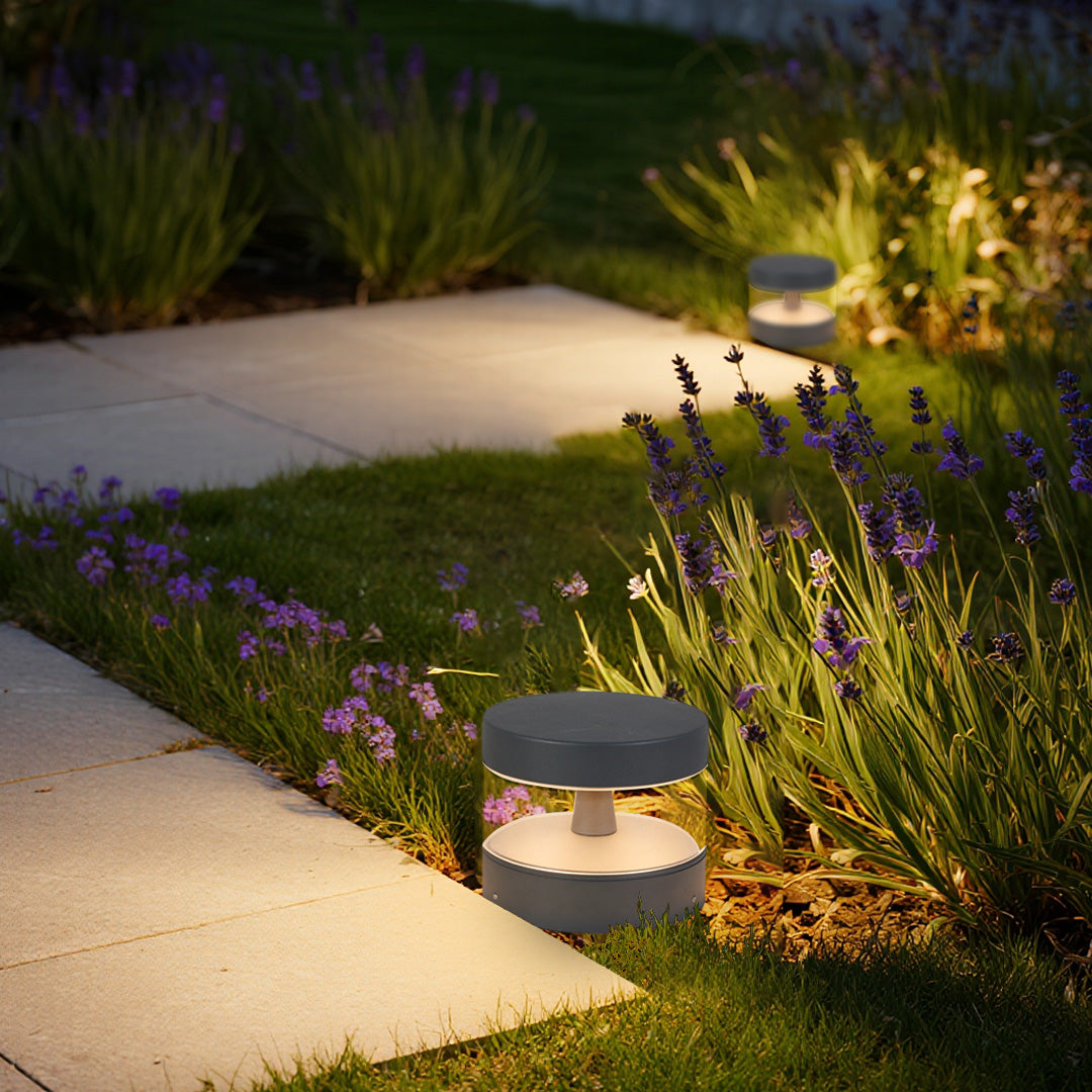 Contemporary path light creating beautiful accent lighting among purple flowers and modern concrete walkway