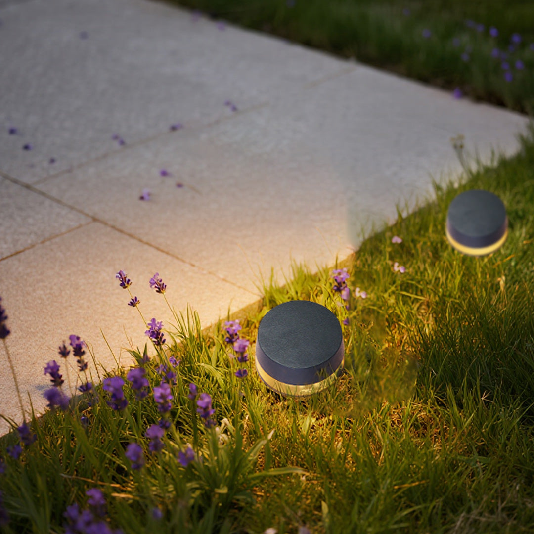 LED outdoor landscape light positioned among purple flowers creating beautiful garden accent lighting display