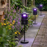 Purple mosquito-repellent path lights illuminating a flower-lined garden walkway