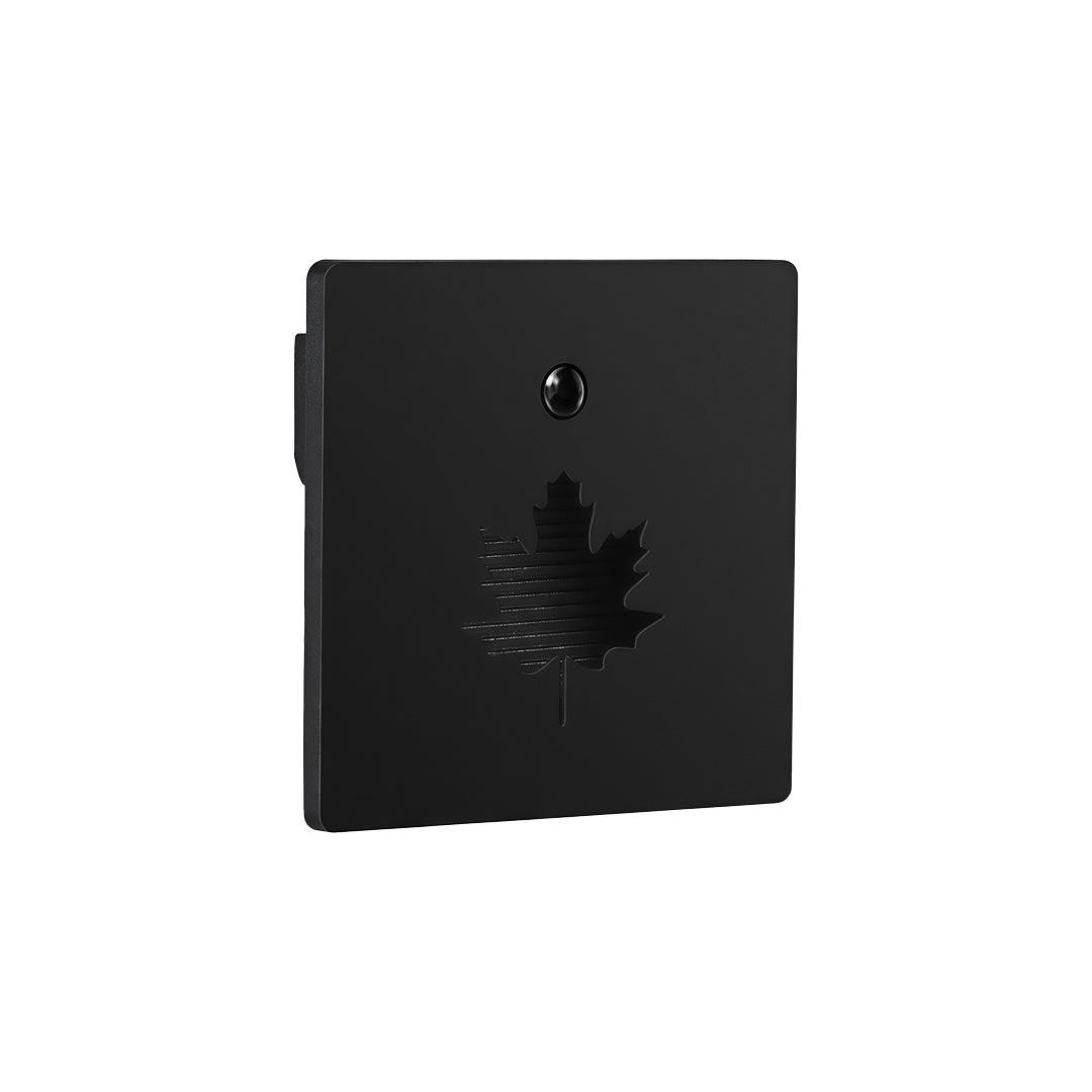 Recessed step lights black square fixture featuring leaf-pattern aperture for accent lighting effects.
