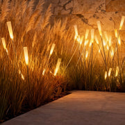 Reed lights illuminating garden pathway with warm glow at dusk.