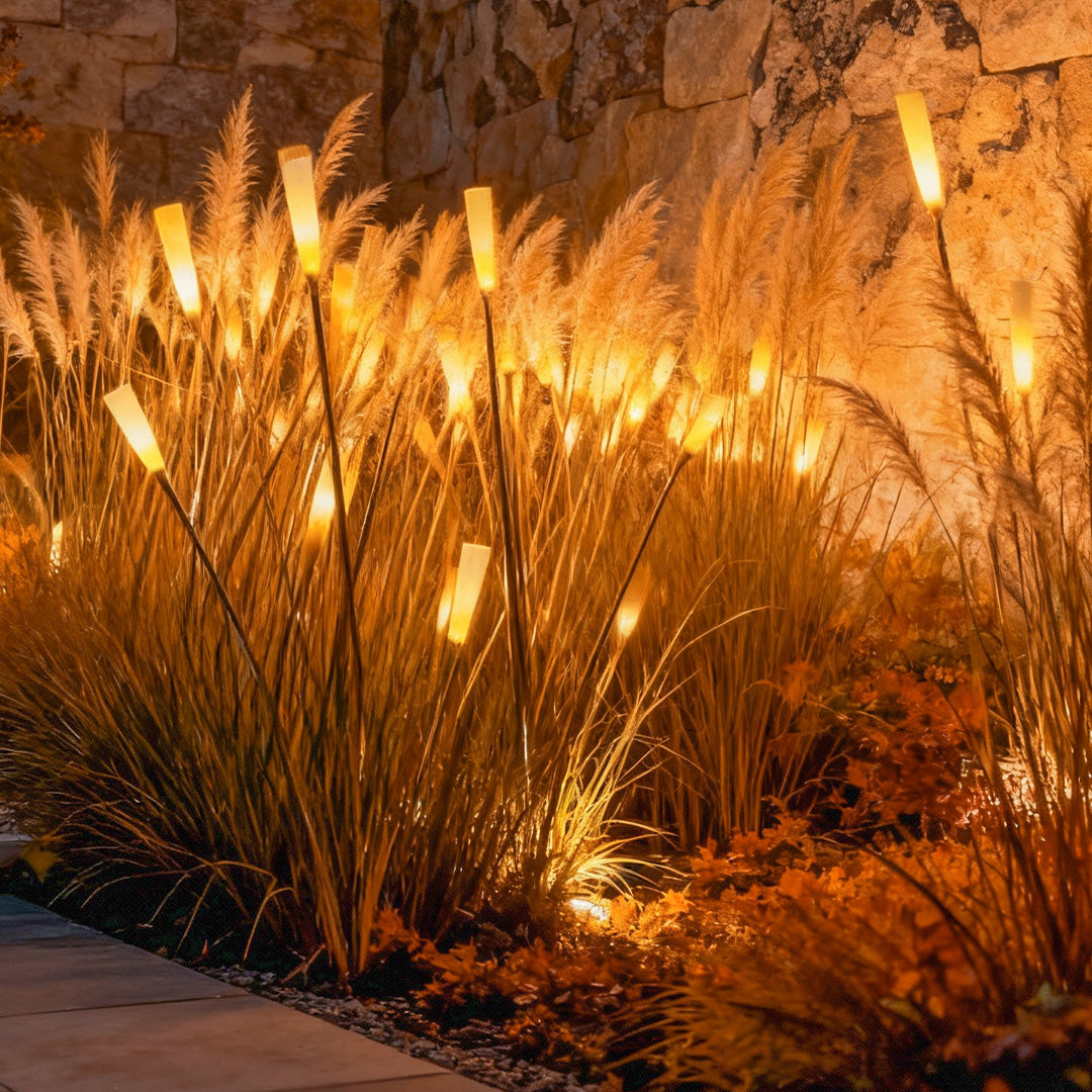 Reed lights casting soft light on ornamental grasses in evening garden.