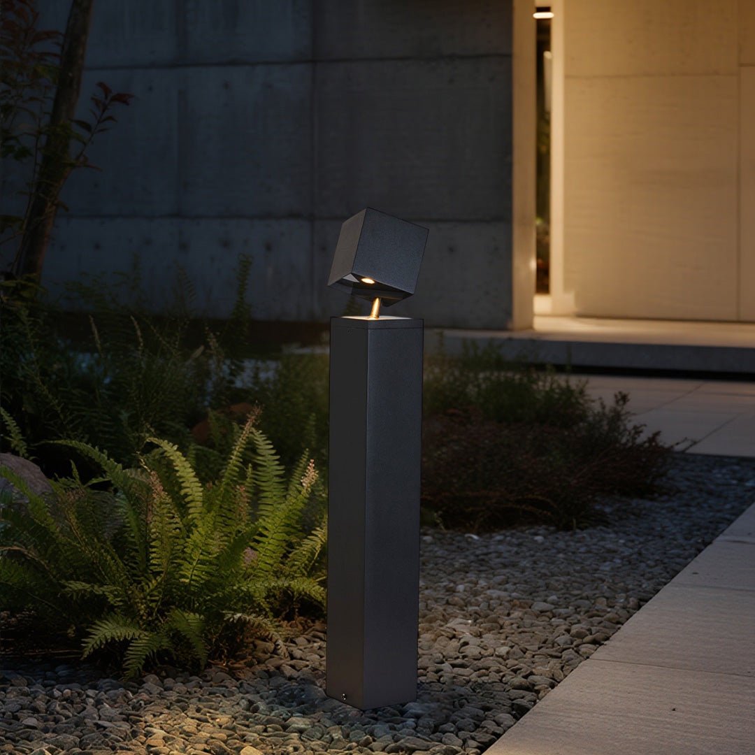 Pathway outdoor light illuminating modern residential entrance with fern plantings and contemporary architecture
