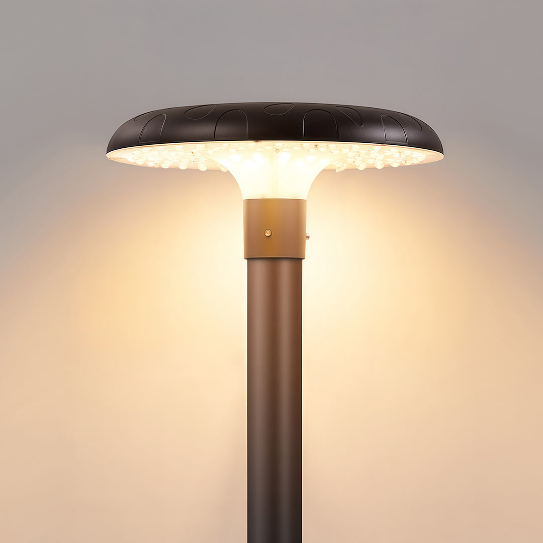 Streetlight standing tall in a residential park, illuminating a walking track at dusk.