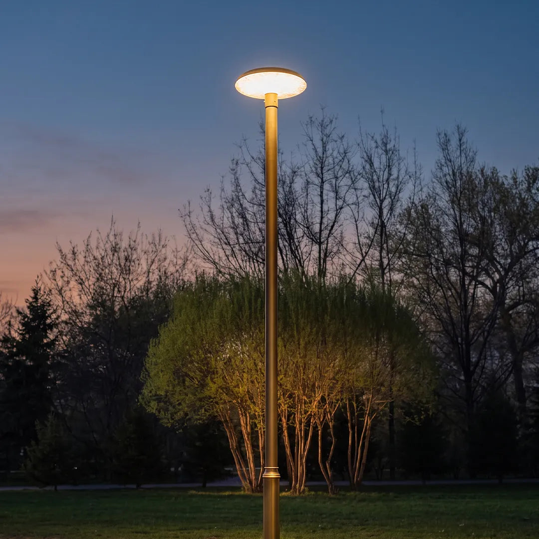 Residential street lighting with a tall outdoor lamp post illuminating a landscaped path at sunset.