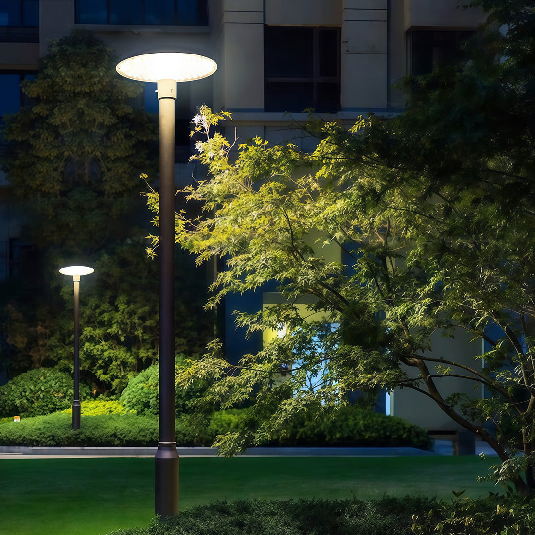 Residential streetlight lighting up a walking path, surrounded by greenery.
