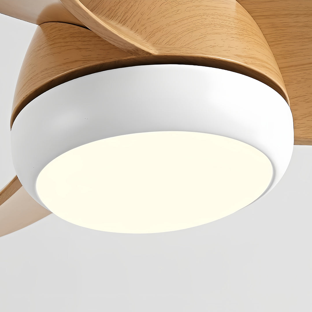 Bottom view of retro ceiling fan with light showing round white frosted glass shade and motor