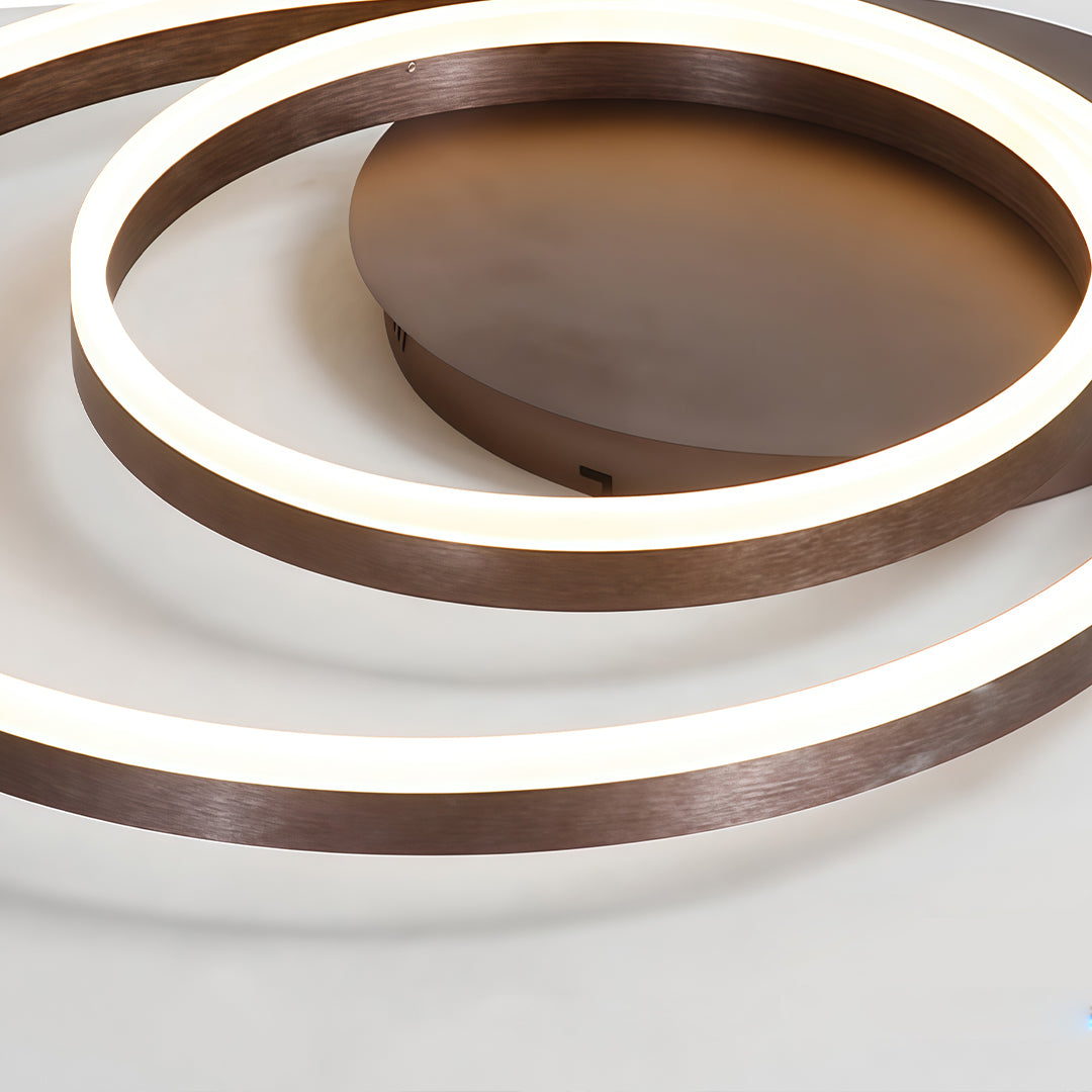 Ring pendant light fixture in bronze, close-up of the ring details.