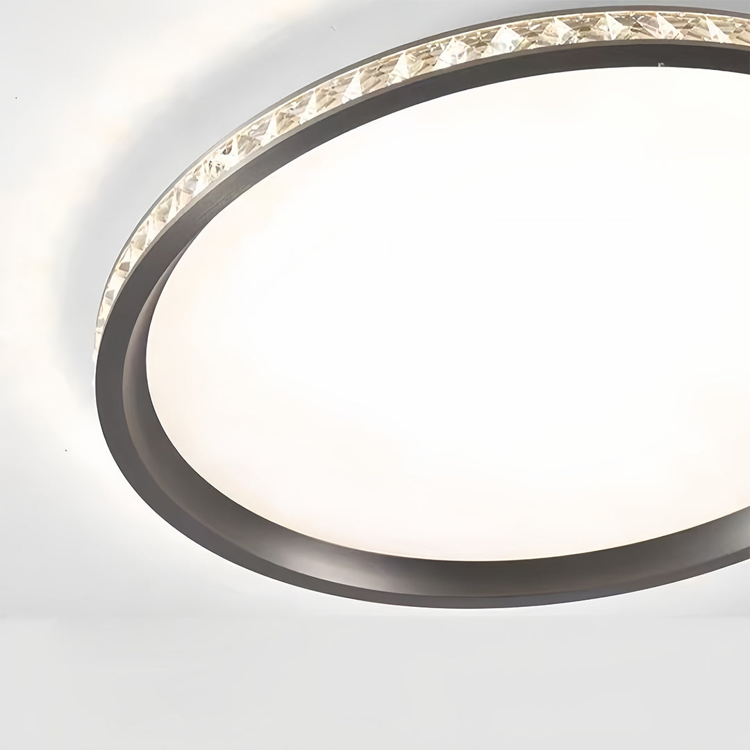 Close-up detail of round flush mount LED light showing crystal texture and metal construction