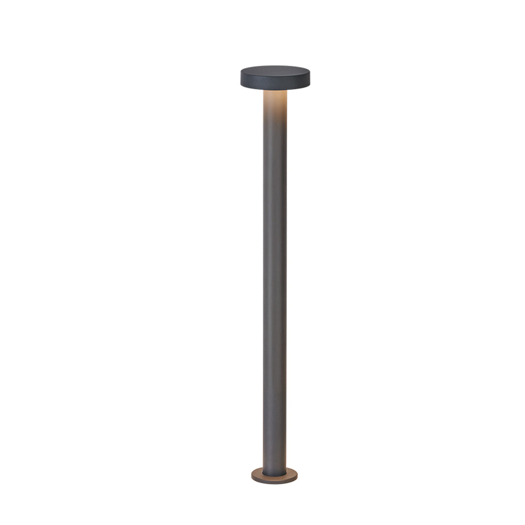 Contemporary LED path light with round head design providing ambient lighting for modern landscapes