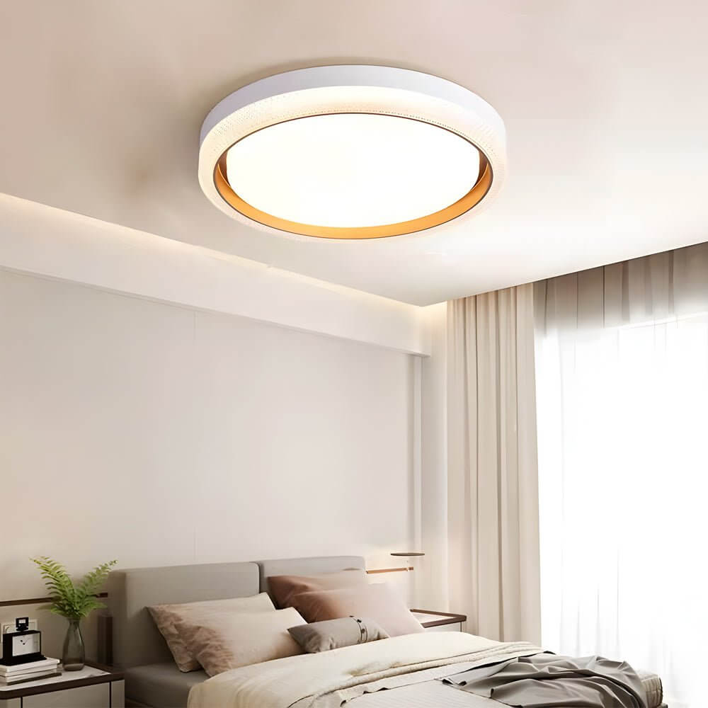 Round LED Flush Mount Ceiling Light