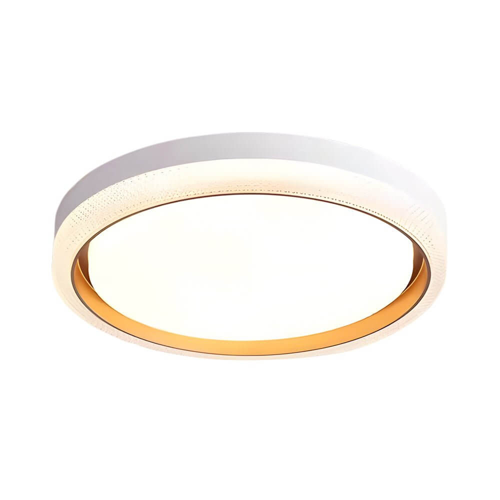 Round LED Flush Mount Ceiling Light