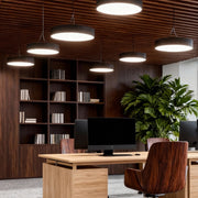 Round pendant lights installed in a modern office interior