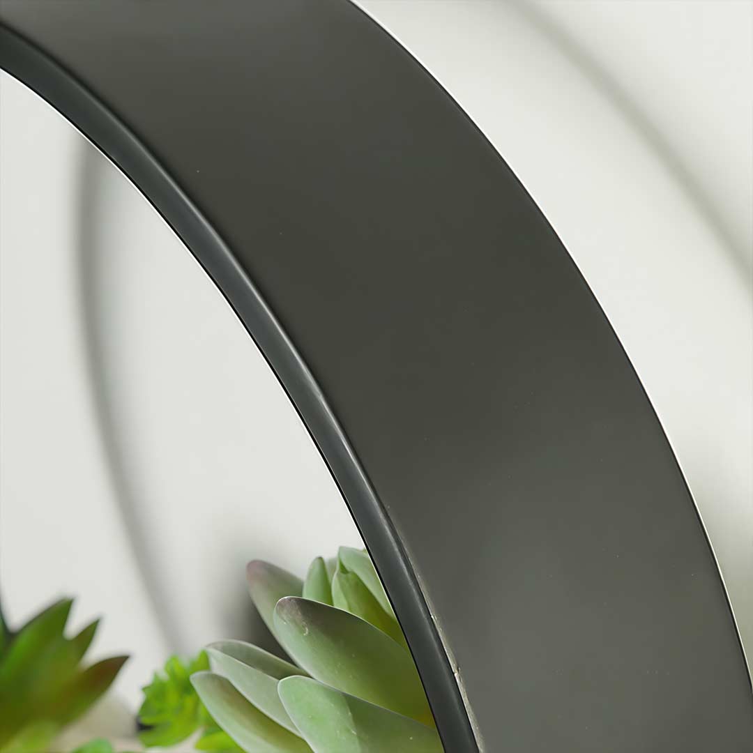 Round plant wall lamp with side view showing light and plant arrangement.