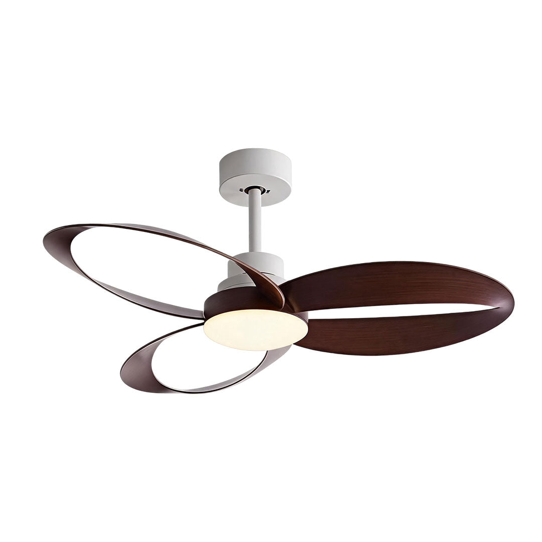 Modern ceiling fans with light featuring sculptural brown loop blades and an integrated round light.