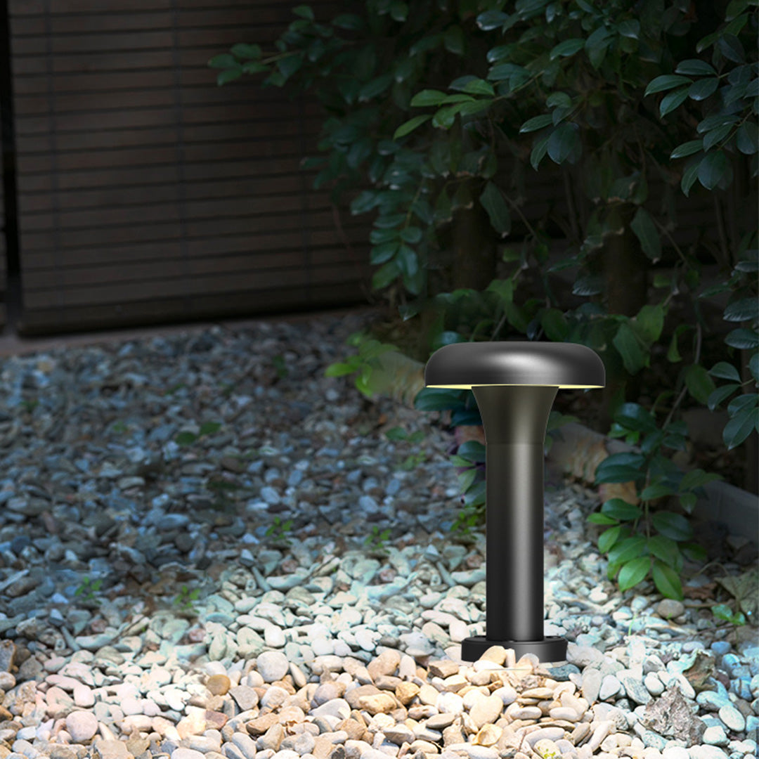 Short cylindrical bollard light with wide flat top cap in dark finish