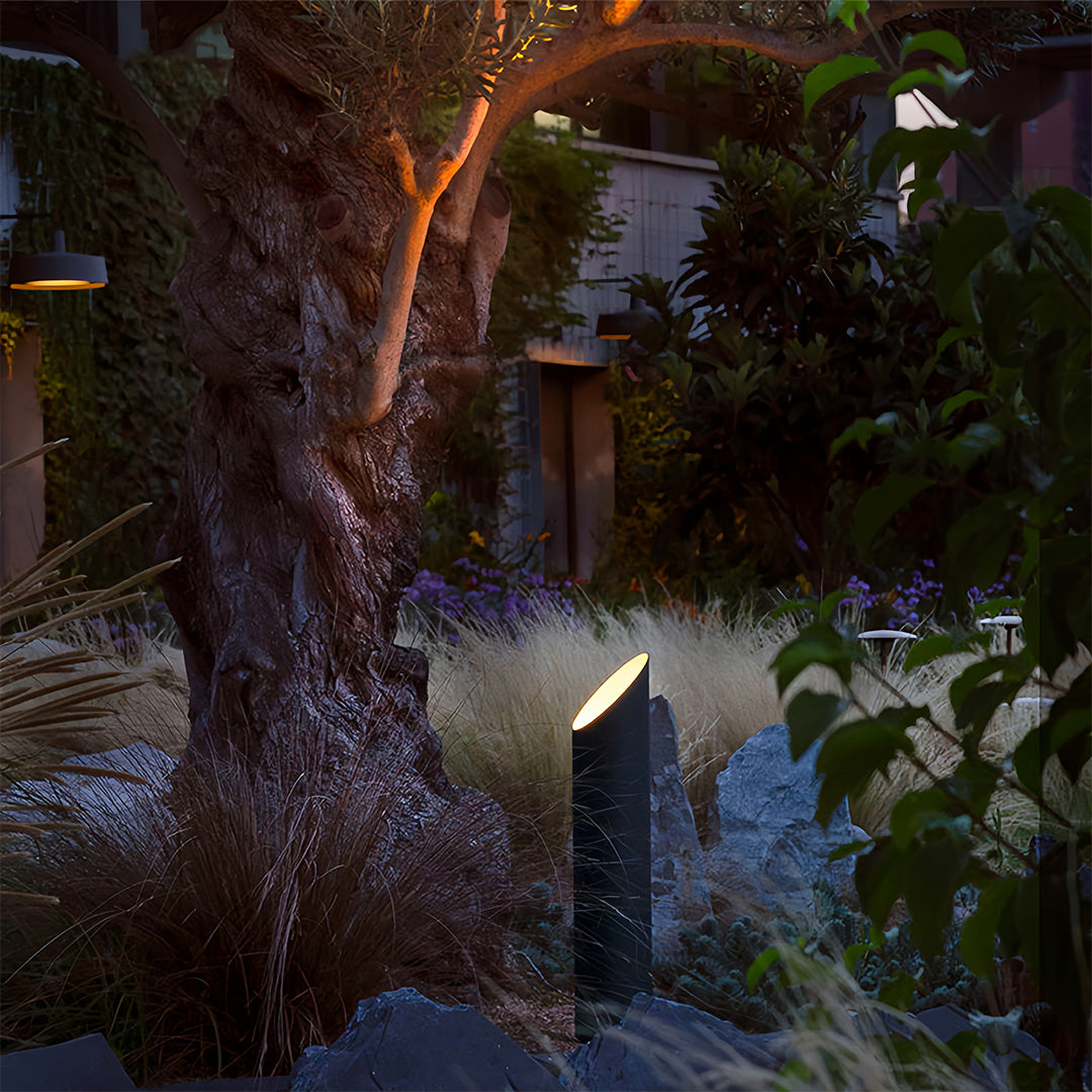 Single landscape tree up lighting bollard casting an uplight glow on the rough trunk and foliage of a large, mature outdoor tree.