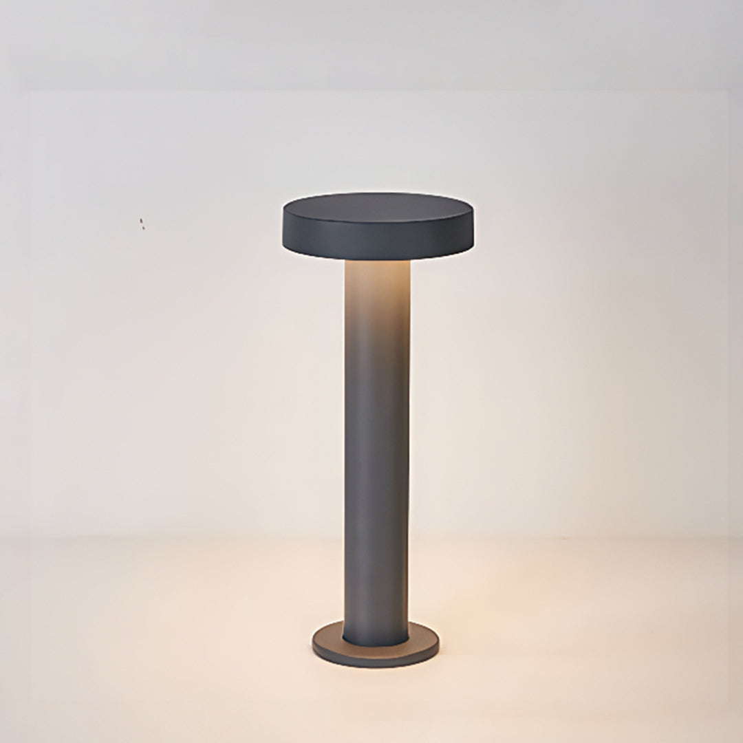 Single LED path light fixture with clean cylindrical design against neutral background for product display