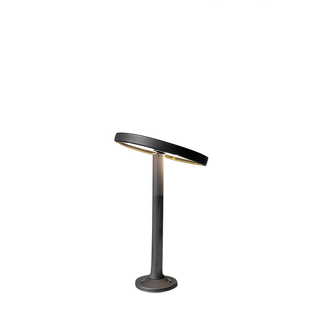 Sleek single-head path lights outdoor with a minimalist dark post and angled LED top.