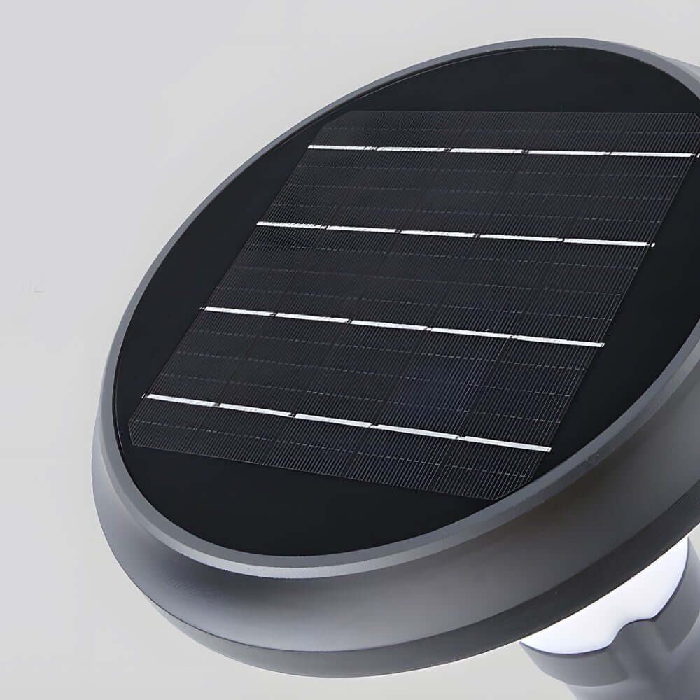 Sleek Black Solar LED Lawn Light Contemporary Outdoor Path Lighting