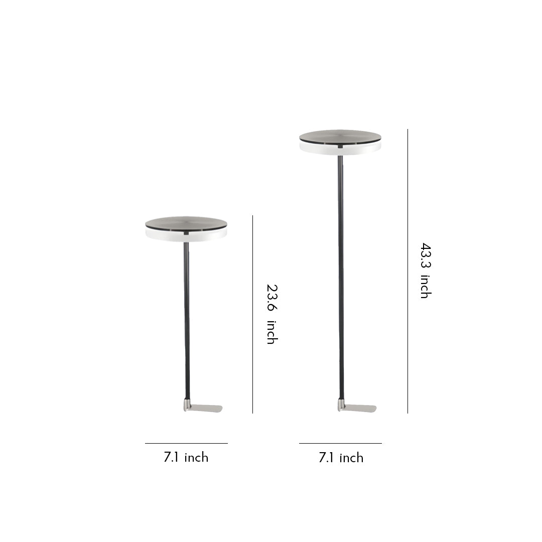 Slim modern stake light with round head designed for outdoor lighting path applications in minimalist settings.