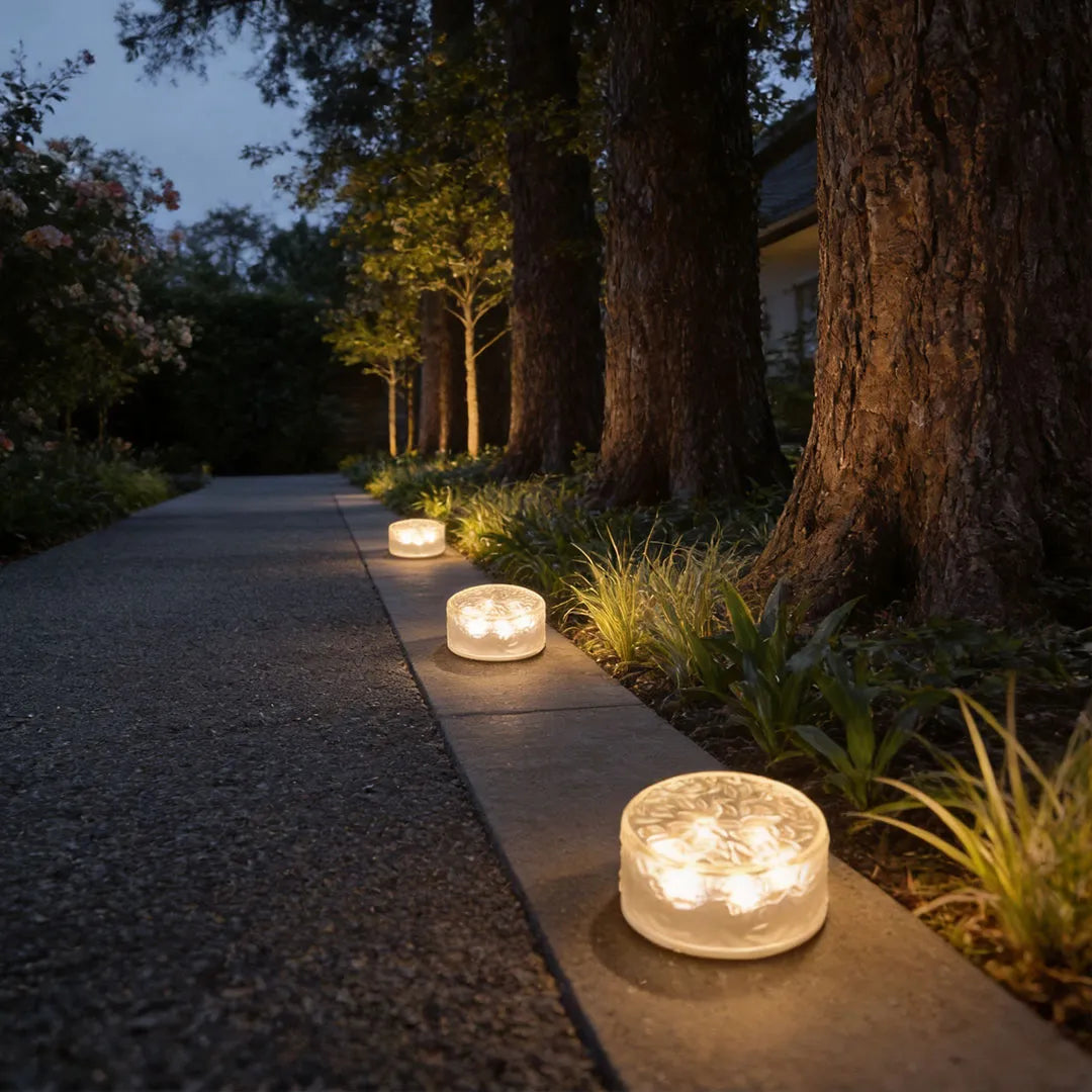 Small step lights lining a dark outdoor walkway beside tall trees and garden plants at night.