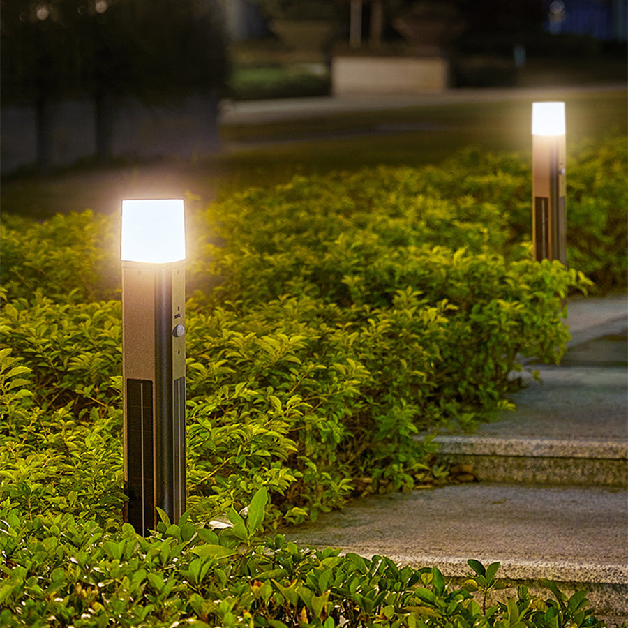 Solar bollard lights creating warm ambient lighting along curved garden walkway