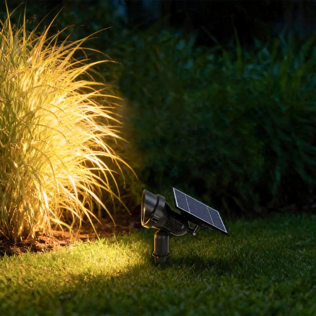 A solar lawn spot light shines upward onto ornamental grass, showing the fixture and attached solar panel in close view.