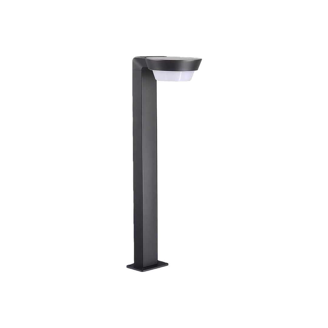 LED path light with solar panel and stake base, ideal for outdoor garden paths and walkways.