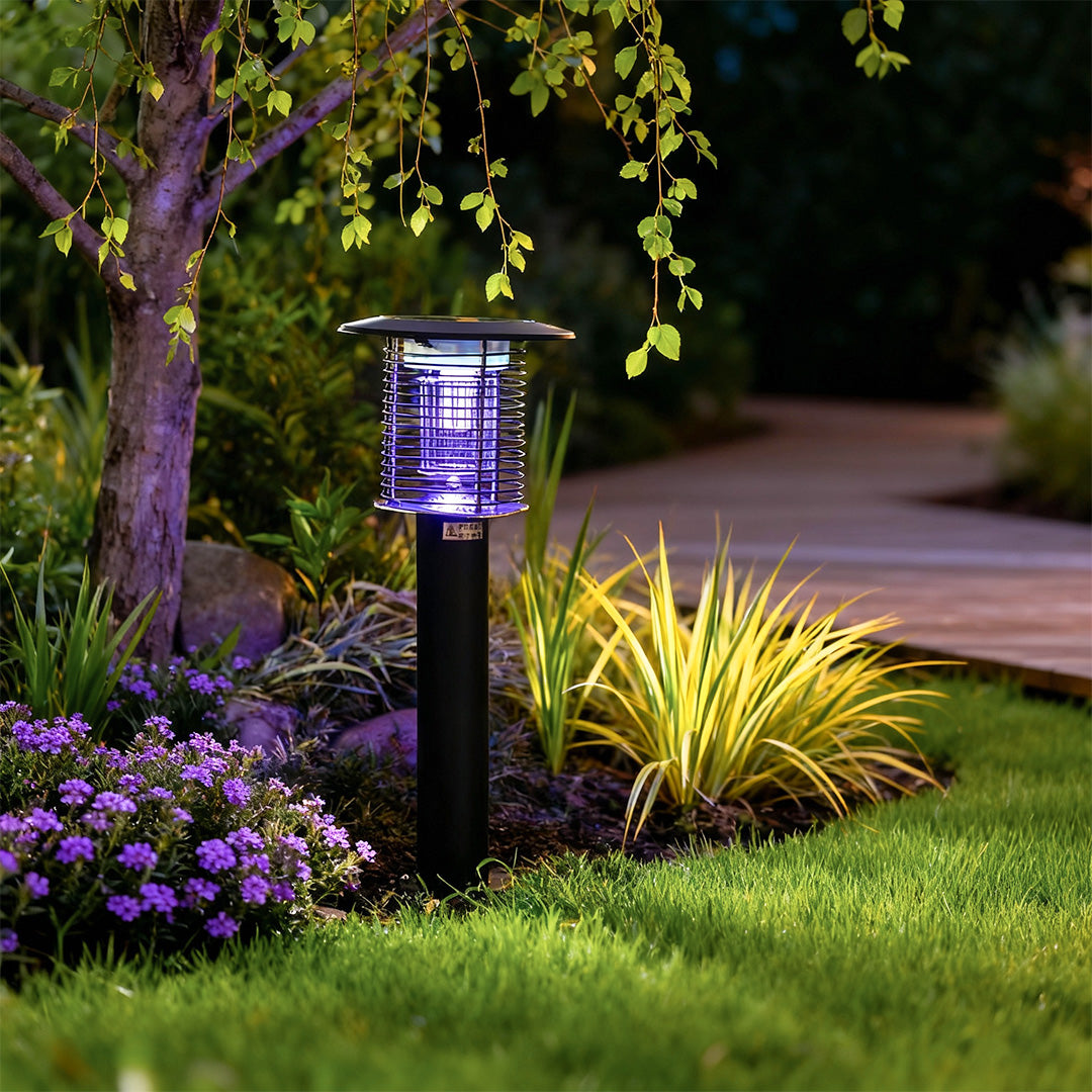 Solar light bug zapper pathway light illuminating lawn and repelling insects.