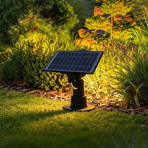 Solar panel powering outdoor landscape lights in a garden