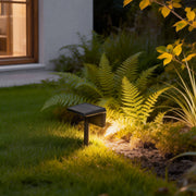 Solar path lights outdoor illuminating a lush garden bed with ferns, creating a warm and inviting ambiance.