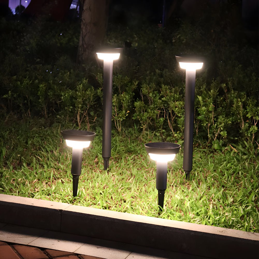 Solar powered garden path lights arranged in a cluster along lawn borders for layered outdoor lighting effects.