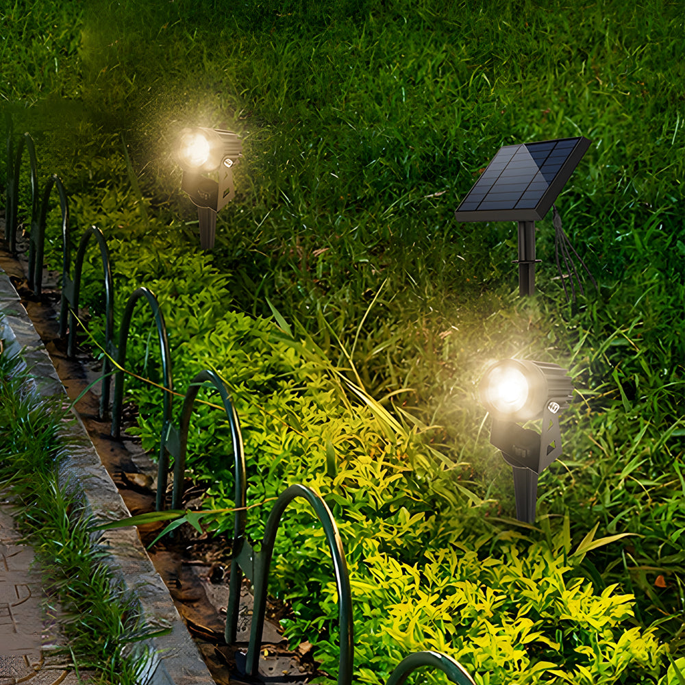 Solar powered landscape spotlights illuminating a garden pathway at night