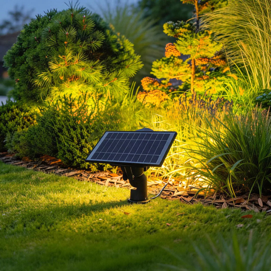 Solar-powered lawn spot lights brighten shrubs and ornamental plants with a visible adjustable solar panel fixture