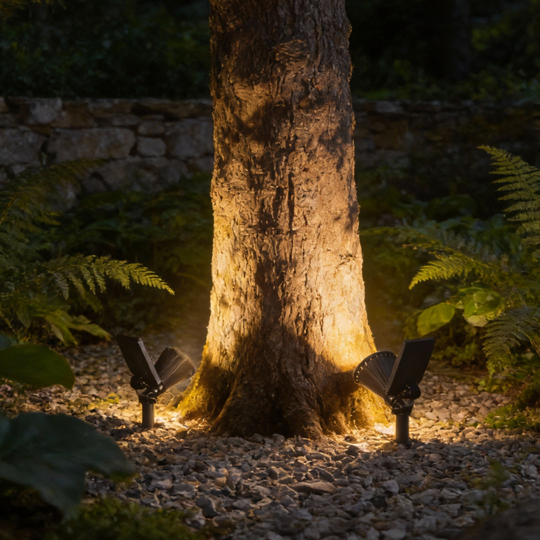 Solar powered spotlights placed at the base of a tree, casting warm upward light to highlight trunk and surrounding plants outdoors.