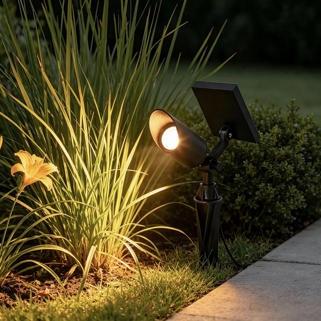 Close-up solar spotlight for trees with an adjustable head and panel lighting ornamental grass beside a path.