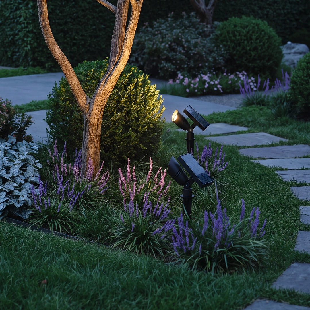 Solar spotlight for trees illuminating a garden tree trunk beside a stone walkway and flowering border.