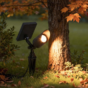 Solar spotlight for trees illuminating a tree trunk at dusk, providing warm and eco-friendly outdoor garden lighting.