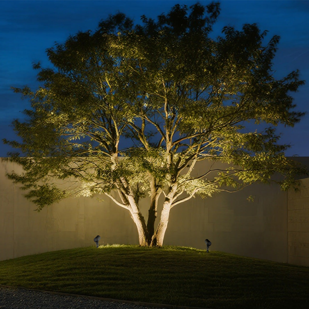 Stakes for outdoor lights creating dramatic tree uplighting in residential landscape setting