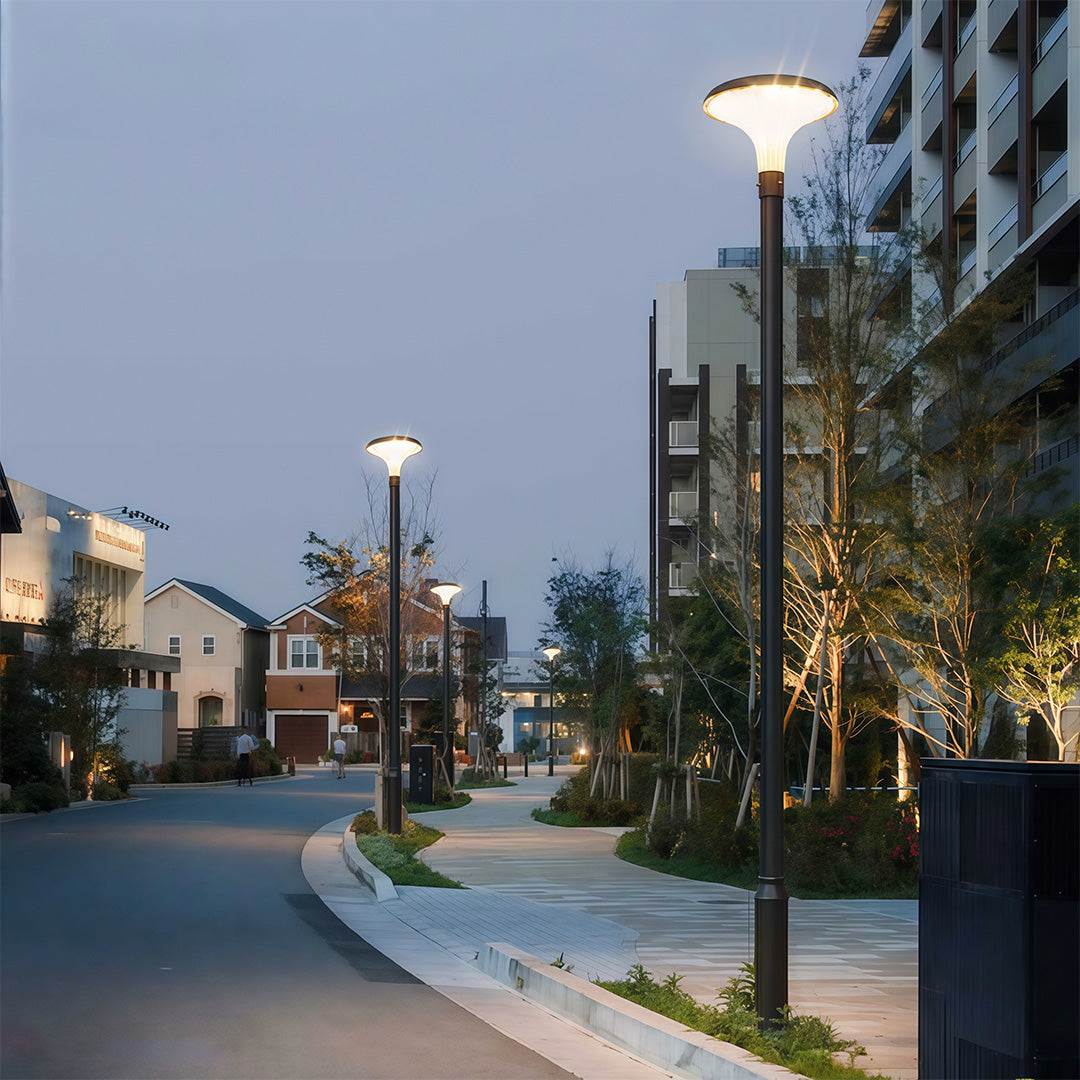 Street light fixture installed in a residential area, casting a soft light on the surrounding greenery.