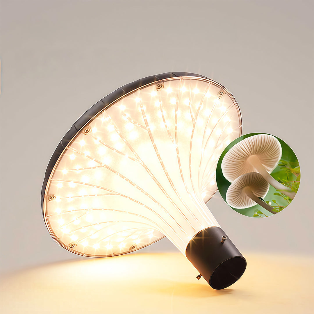 Street lighting fixture mounted in a public space, offering bright, welcoming illumination.