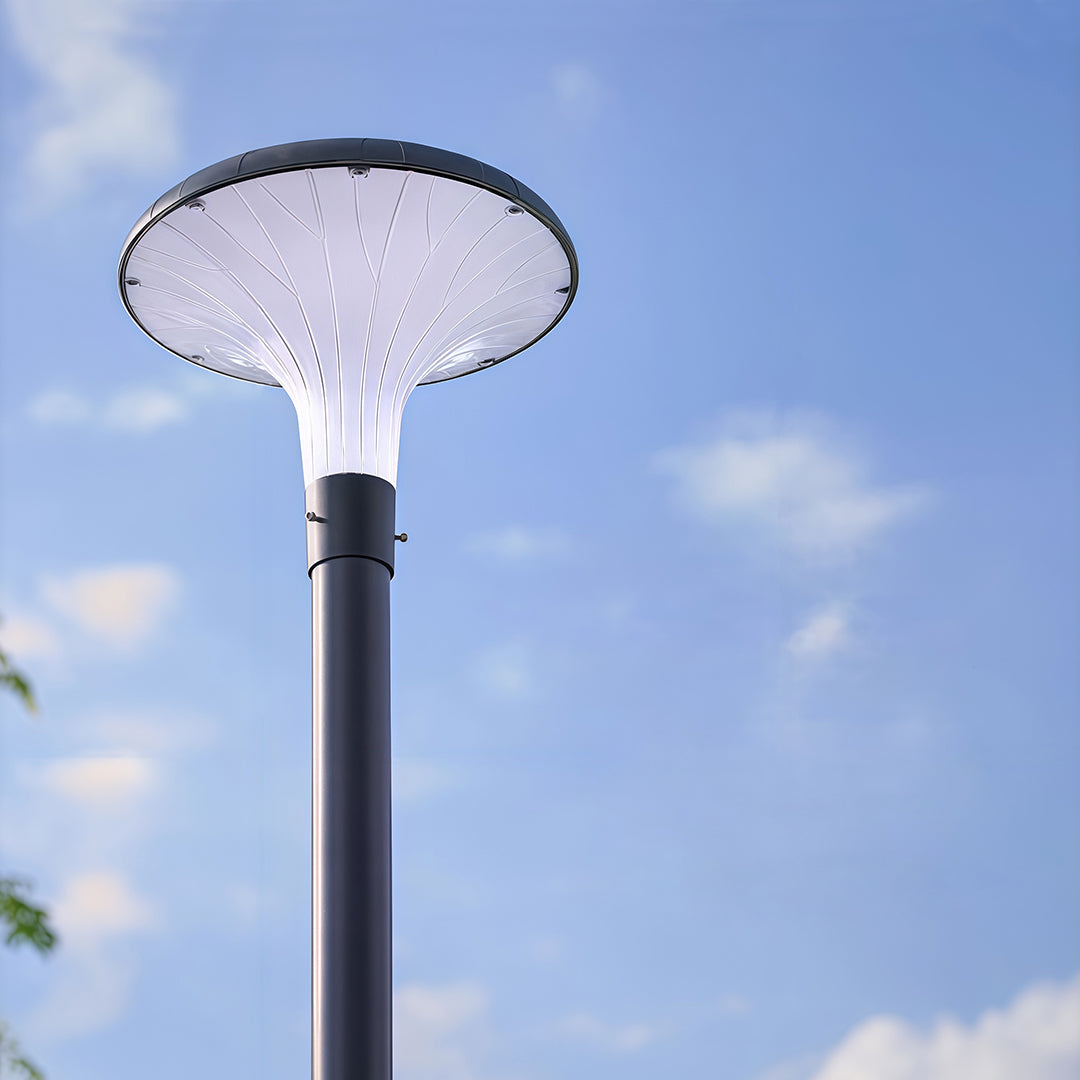 Street lighting providing clear illumination on a quiet sidewalk during the evening.