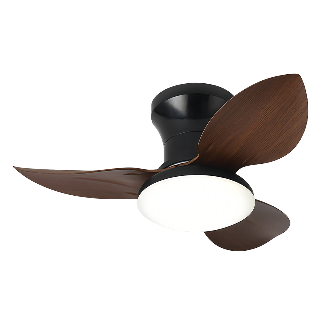 Stylish ceiling fan with dimmer light with dark wood blades and black motor housing for sophisticated lighting